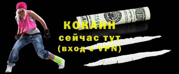 дурь Няндома