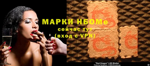 дурь Няндома