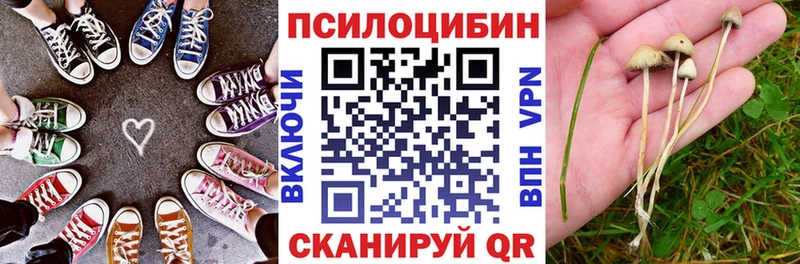 Псилоцибиновые грибы Psilocybine cubensis  KRAKEN tor  Когалым  цены наркотик 