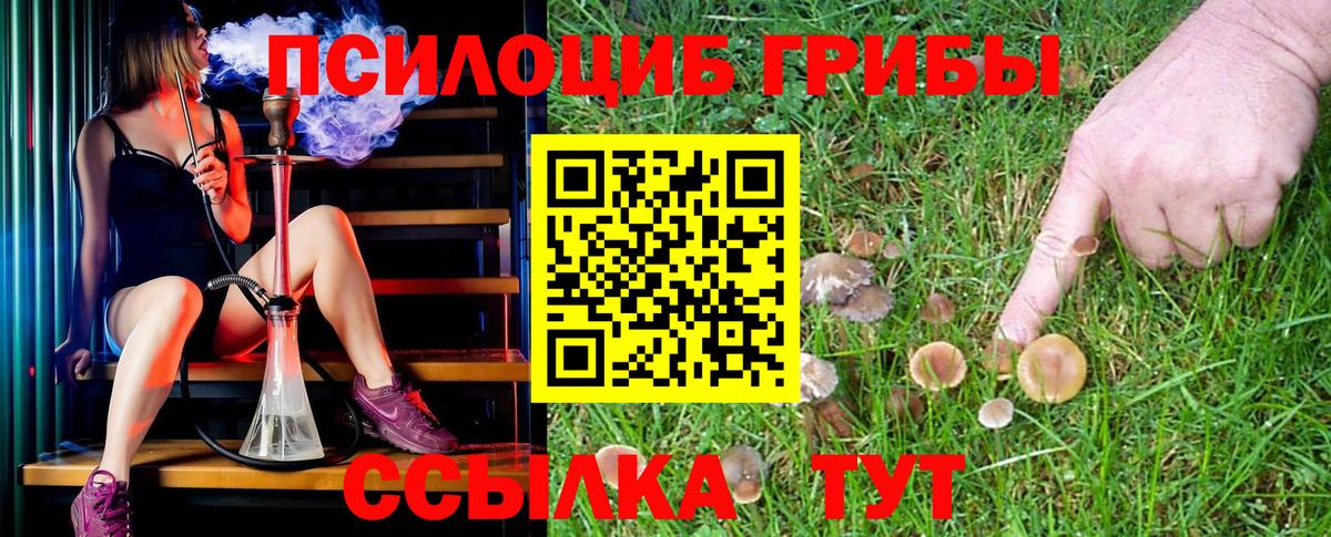 Галлюциногенные грибы Psilocybine cubensis Когалым