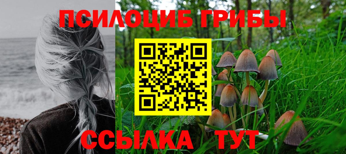 Галлюциногенные грибы прущие грибы  Псилоцибиновые грибы Magic Shrooms  Вход с VPN  как найти закладки  Когалым 